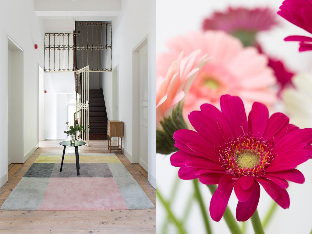 B&B Pastorie Balegem Dış mekan fotoğraf